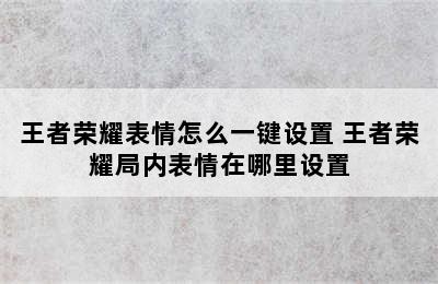 王者荣耀表情怎么一键设置 王者荣耀局内表情在哪里设置